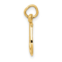 14k Solid Polished Horseshoe Charm-K830