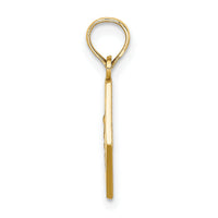 14K Caduceus Textured Back Medical Charm-K8314