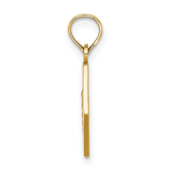 14K Caduceus Textured Back Medical Charm-K8314