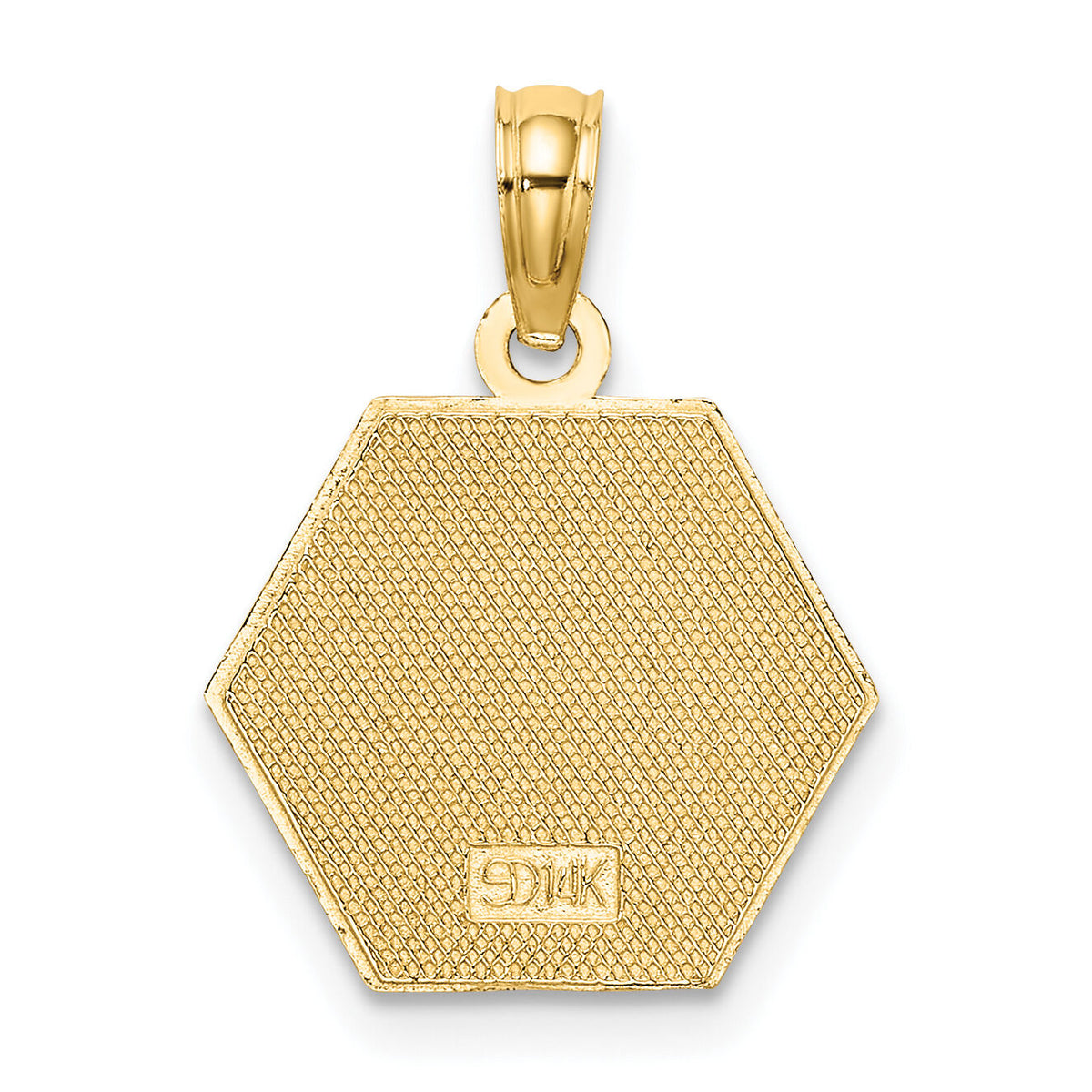 14K Caduceus Textured Back Medical Charm-K8314