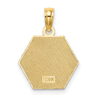 14K Caduceus Textured Back Medical Charm-K8314