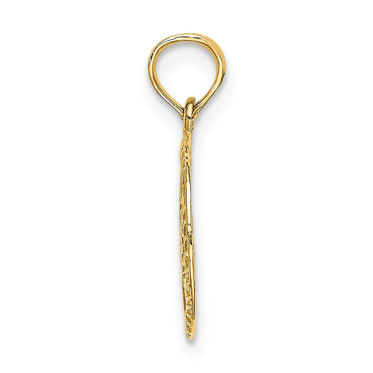 14K Engraved Star Of David In Circle Charm-K8388