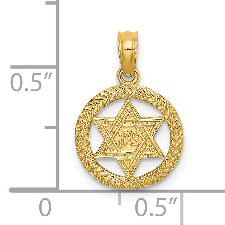 14K Engraved Star Of David In Circle Charm-K8388