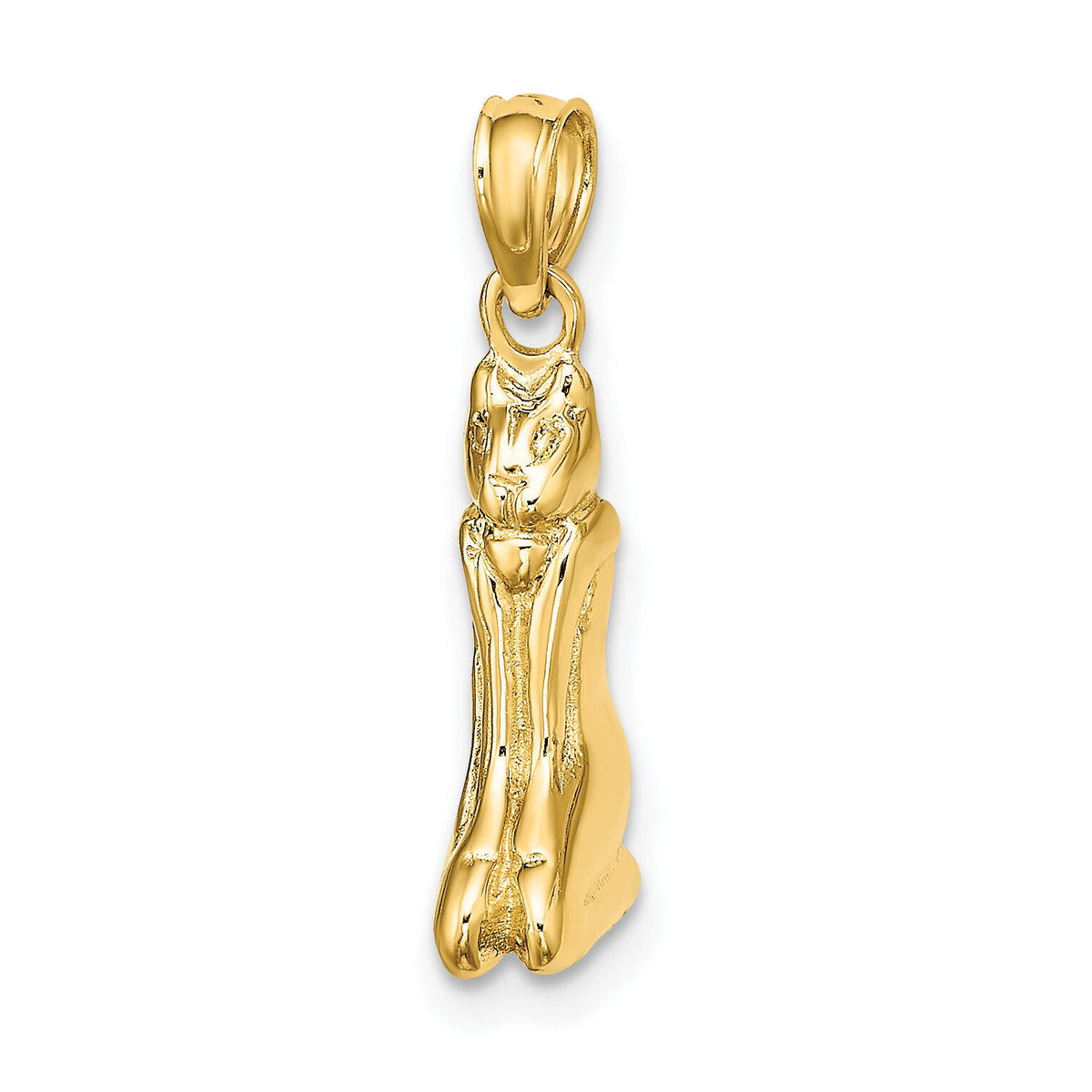 14K 3D Polished MARCO ISLAND Cat Charm-K8658