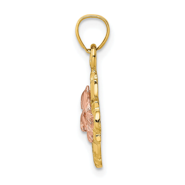 14k Two-tone with White Rhodium Double Dolphins In Frame Charm-K8977