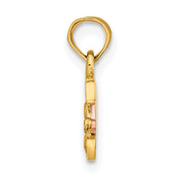 14k Two-Tone DADDY'S LITTLE GIRL Charm-K9111
