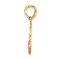 14K Two-Tone JESUS LOVES ME Charm-K9113
