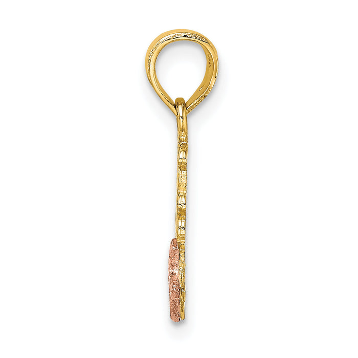 14K Two-Tone JESUS LOVES ME Charm-K9113