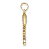 14K w/Rhodium 3-D Fishbone Charm-K9230