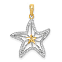 14K with White Rhodium Diamond-cut Starfish W/ Star Charm-K9393
