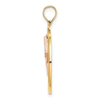 14k Two-tone w/White Rhodium Star in Frame Moveable Charm-K9441