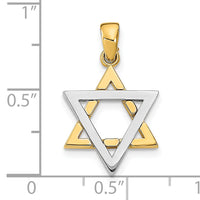 14K Two-Tone Star Of David Charm-K9752
