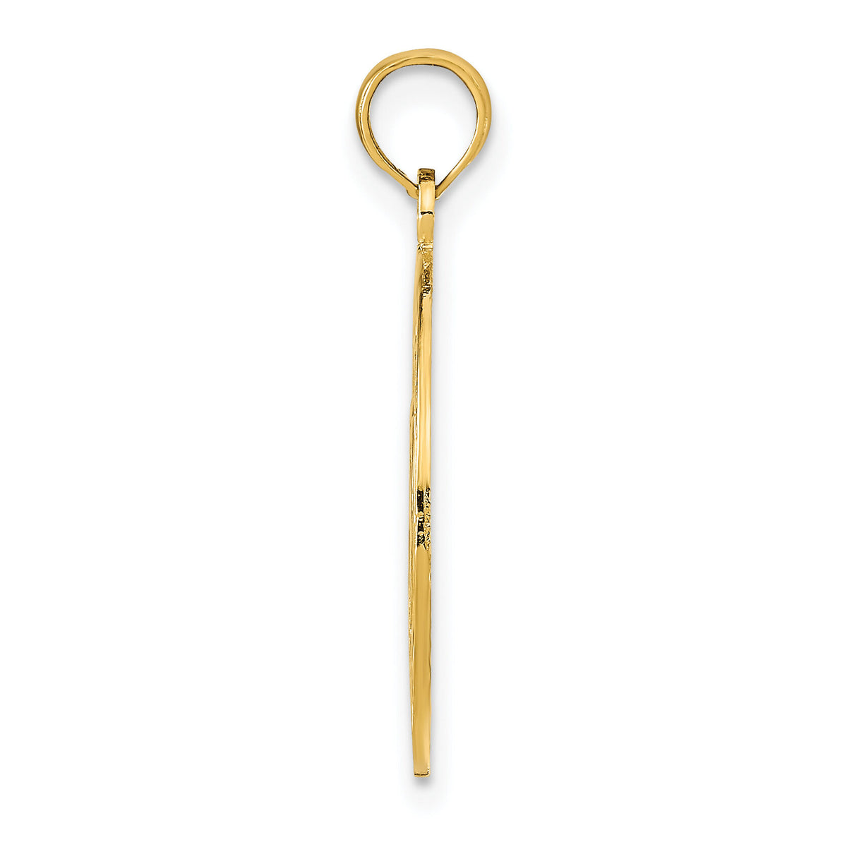 14K MARCO ISLAND with Dolphins Circle Pendant-K9754
