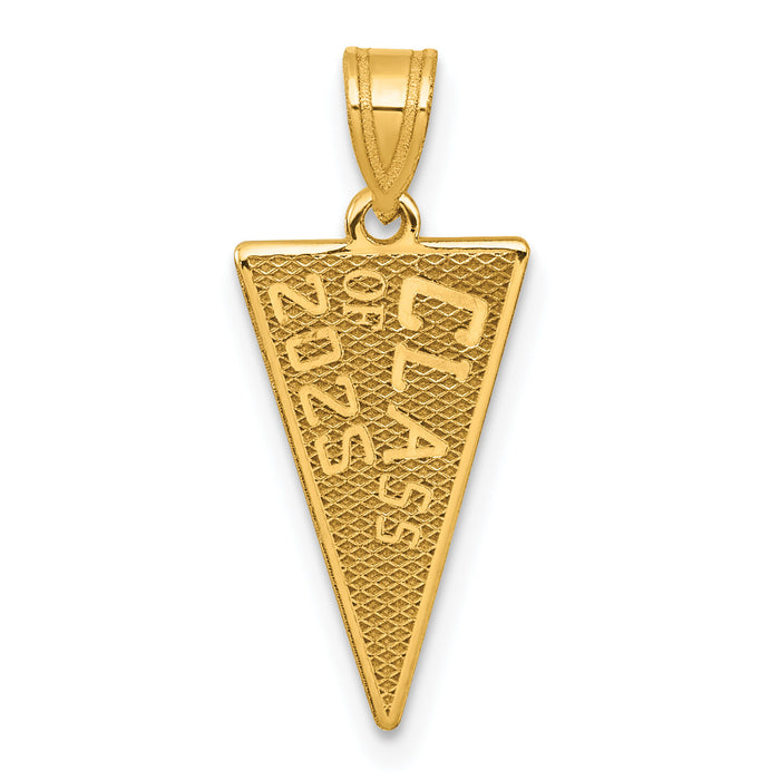 14K Class Of 2025 Rally Flag / Graduation Charm-K9984-25