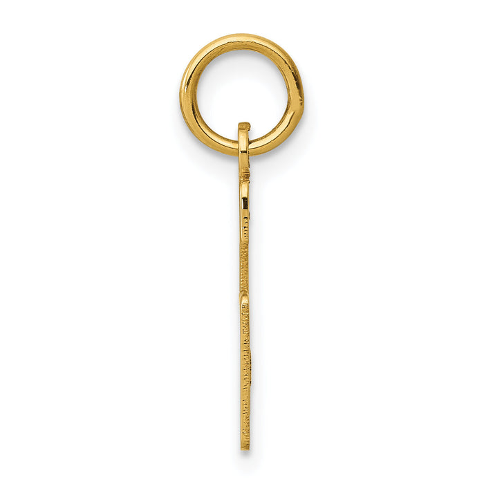 14k Small Elongated Number 6 Charm-LES06