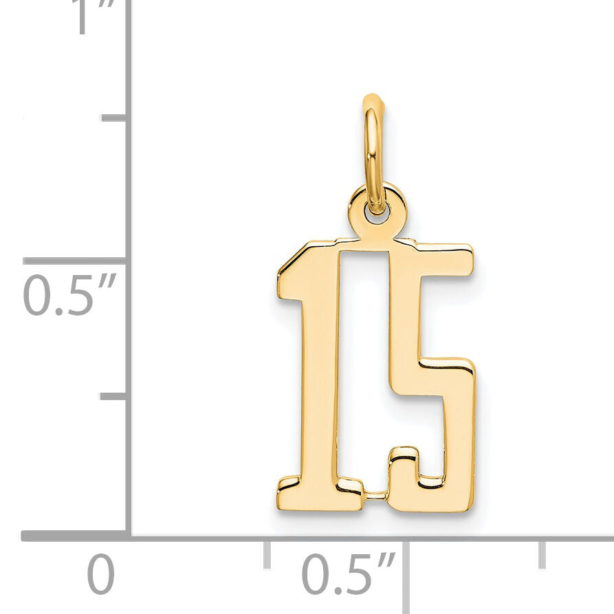 14k White Gold Small Elongated Number 15 Charm-LES15W