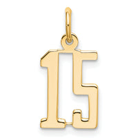 14k White Gold Small Elongated Number 15 Charm-LES15W