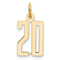 14k Small Elongated Number 20 Charm-LES20