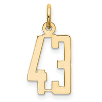 14k Small Elongated Number 43 Charm-LES43