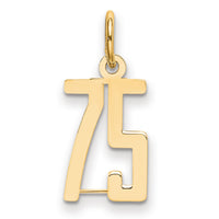 14k Small Elongated Number 75 Charm-LES75