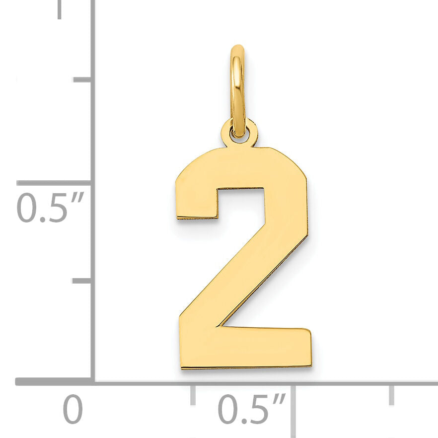 14k Medium Polished Number 2 Charm-LM02