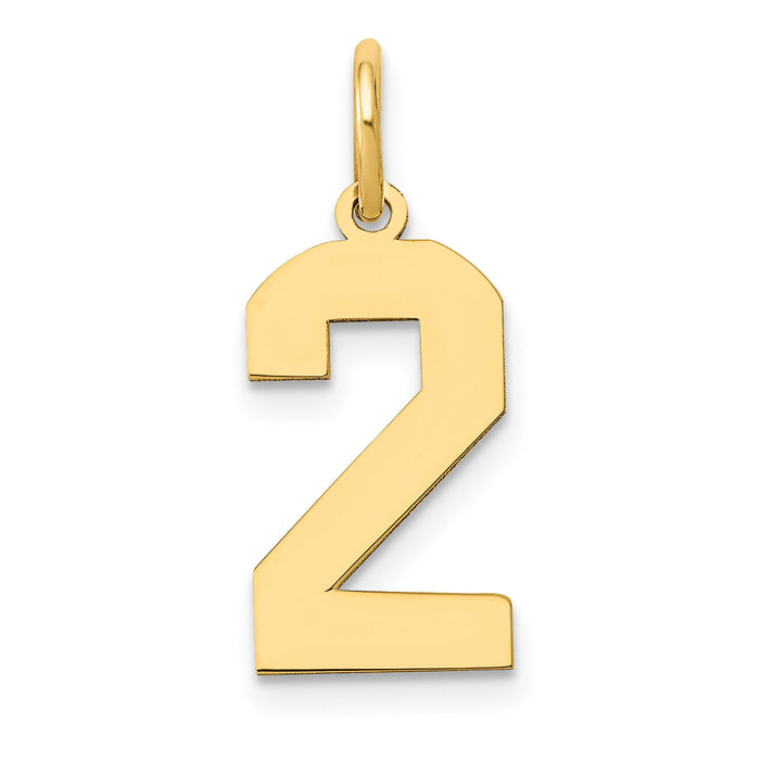 14k Medium Polished Number 2 Charm-LM02