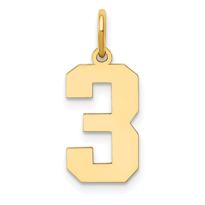 14k Medium Polished Number 3 Charm-LM03