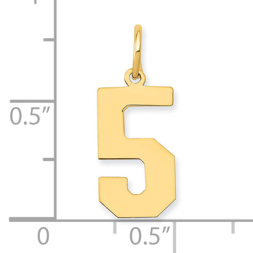 14k Medium Polished Number 5 Charm-LM05