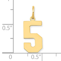 14k Medium Polished Number 5 Charm-LM05