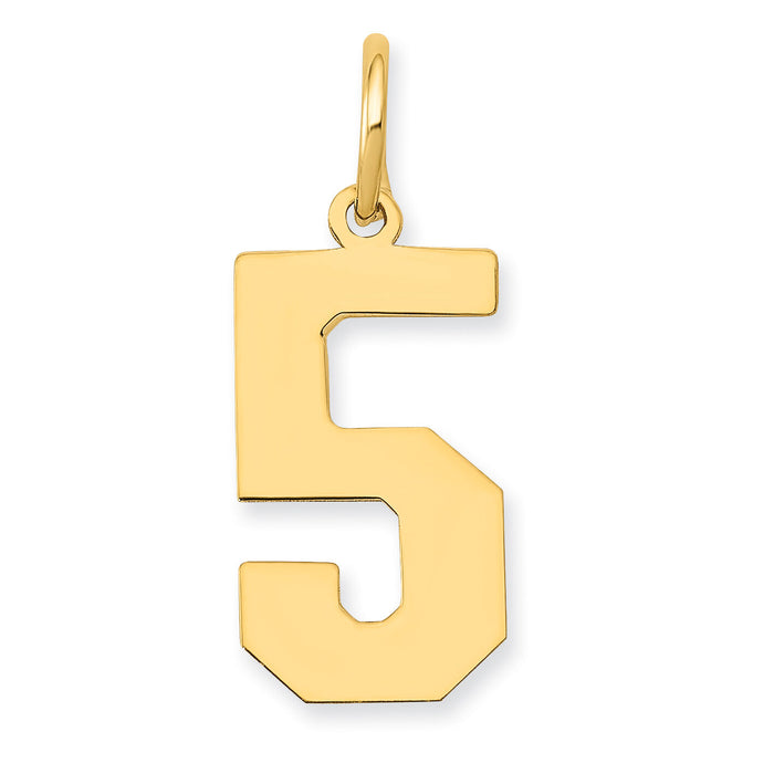 14k Medium Polished Number 5 Charm-LM05