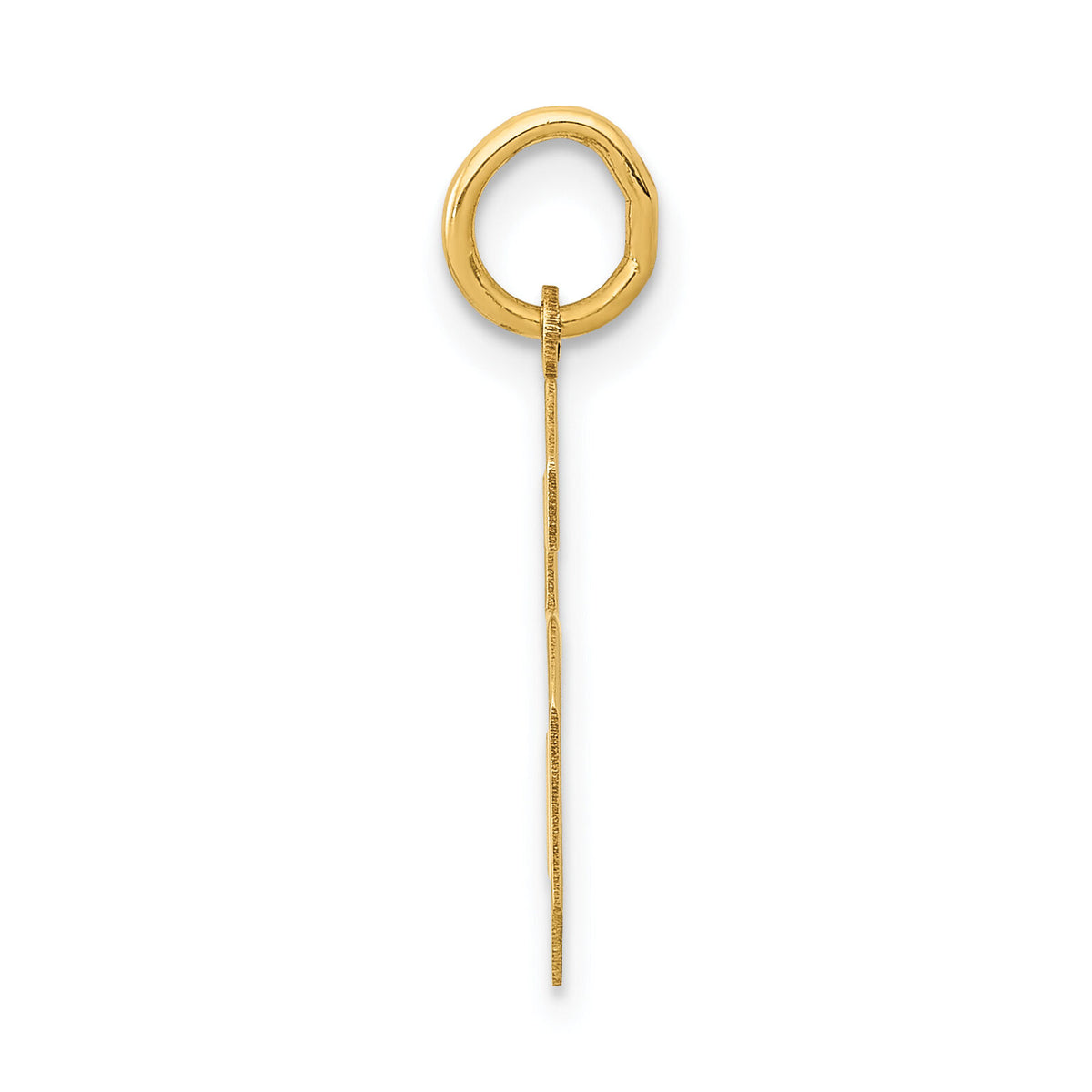 14k Medium Polished Number 6 Charm-LM06