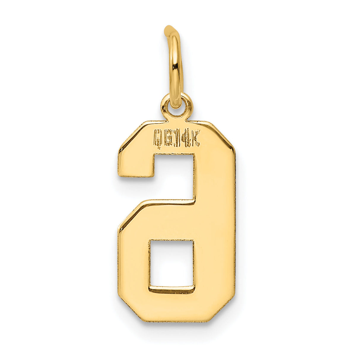 14k Medium Polished Number 6 Charm-LM06