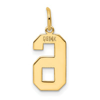 14k Medium Polished Number 6 Charm-LM06
