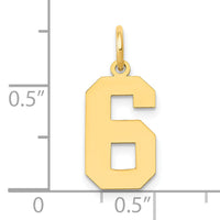 14k Medium Polished Number 6 Charm-LM06