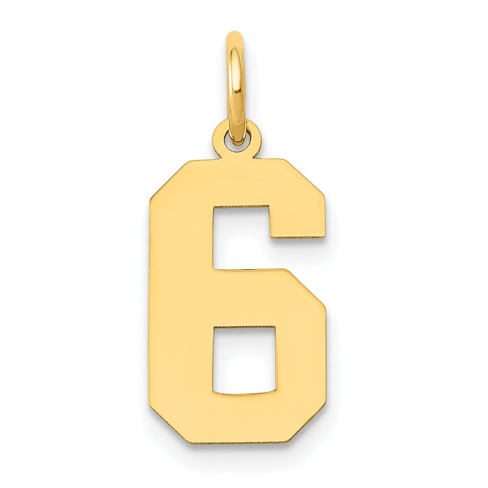 14k Medium Polished Number 6 Charm-LM06