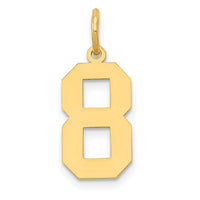 14k Medium Polished Number 8 Charm-LM08