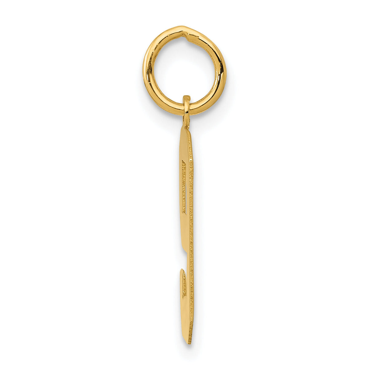14k Medium Polished Number 9 Charm-LM09