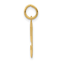 14k Medium Polished Number 9 Charm-LM09