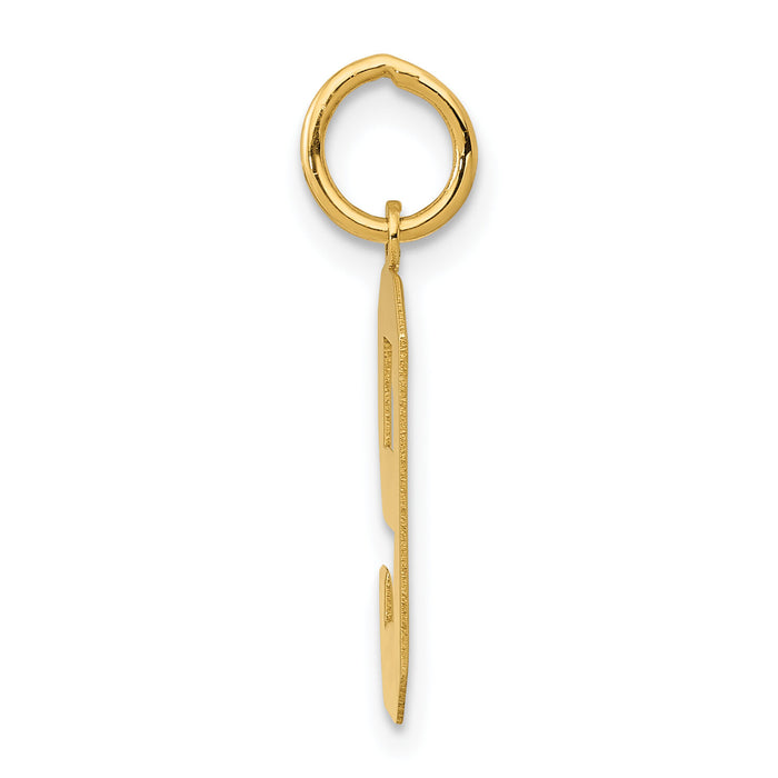 14k Medium Polished Number 9 Charm-LM09