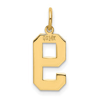 14k Medium Polished Number 9 Charm-LM09
