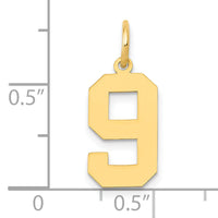 14k Medium Polished Number 9 Charm-LM09
