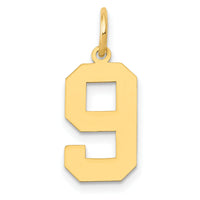 14k Medium Polished Number 9 Charm-LM09