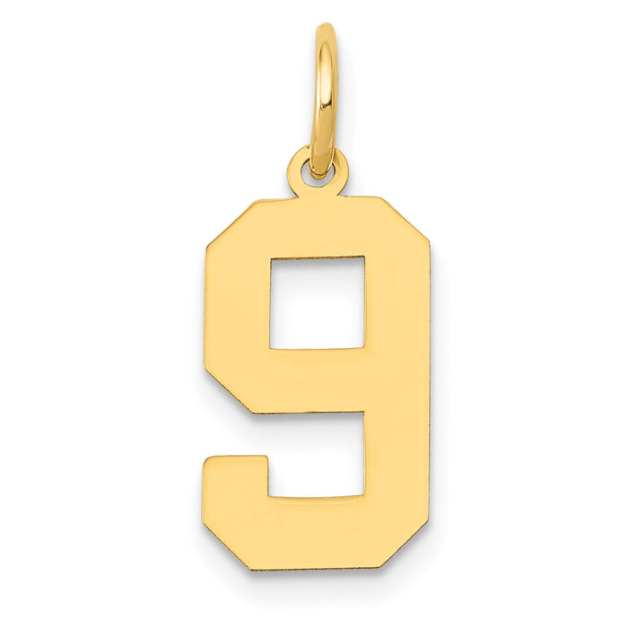 14k Medium Polished Number 9 Charm-LM09