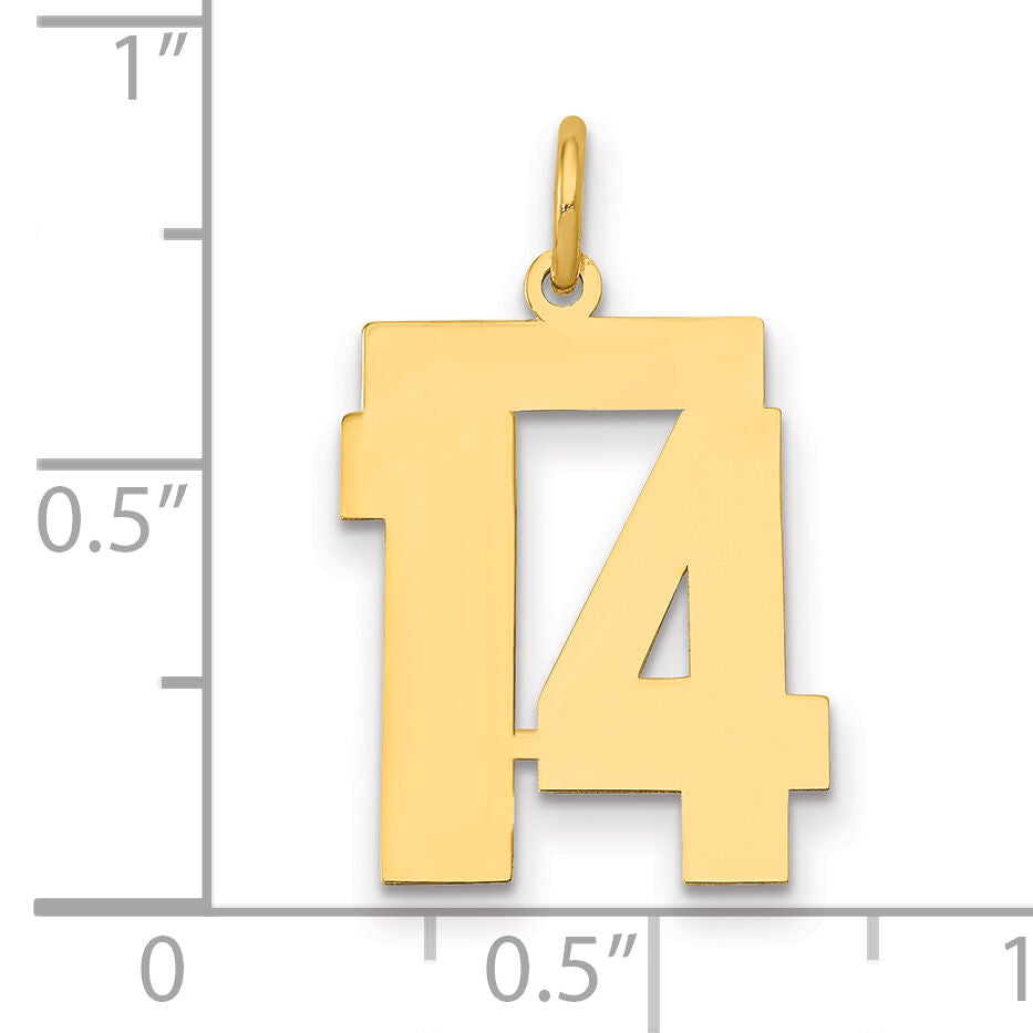 14k Medium Polished Number 14 Charm-LM14