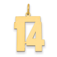 14k Medium Polished Number 14 Charm-LM14