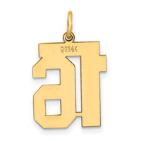14k Medium Polished Number 16 Charm-LM16