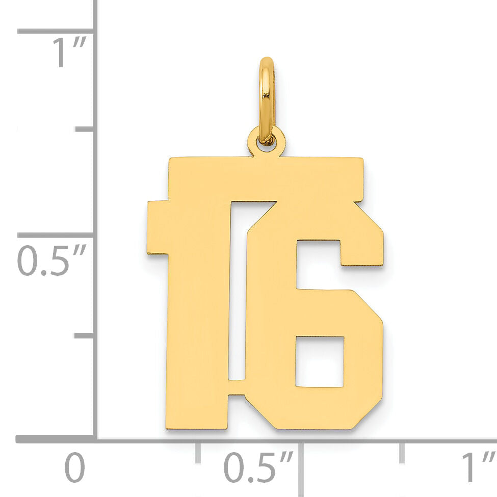 14k Medium Polished Number 16 Charm-LM16