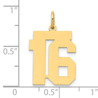 14k Medium Polished Number 16 Charm-LM16