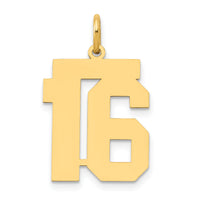 14k Medium Polished Number 16 Charm-LM16
