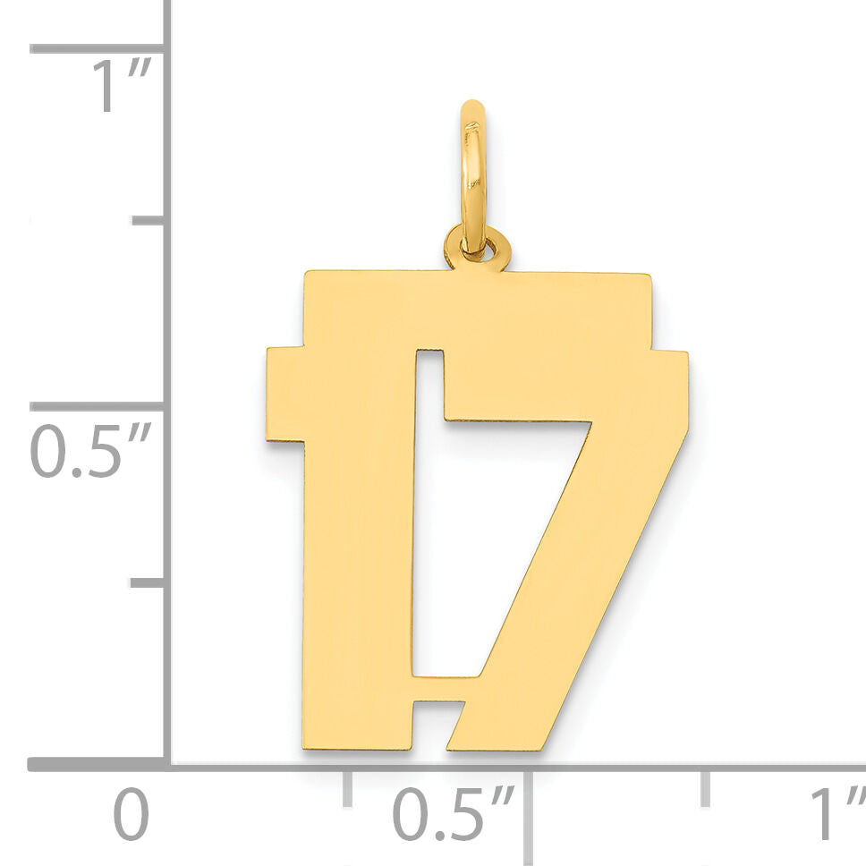 14k Medium Polished Number 17 Charm-LM17